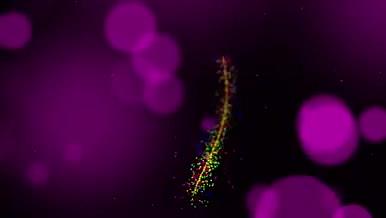 漂亮的粉色粒子勾勒出浪漫爱心AE模板视频的预览图